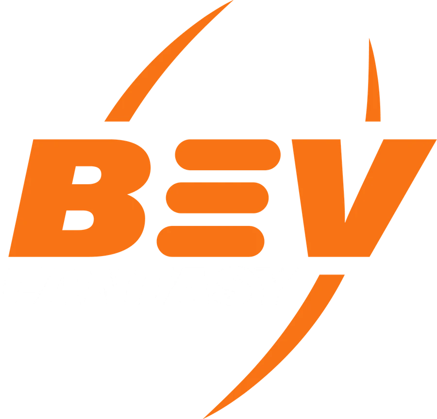 Bev Fantasy